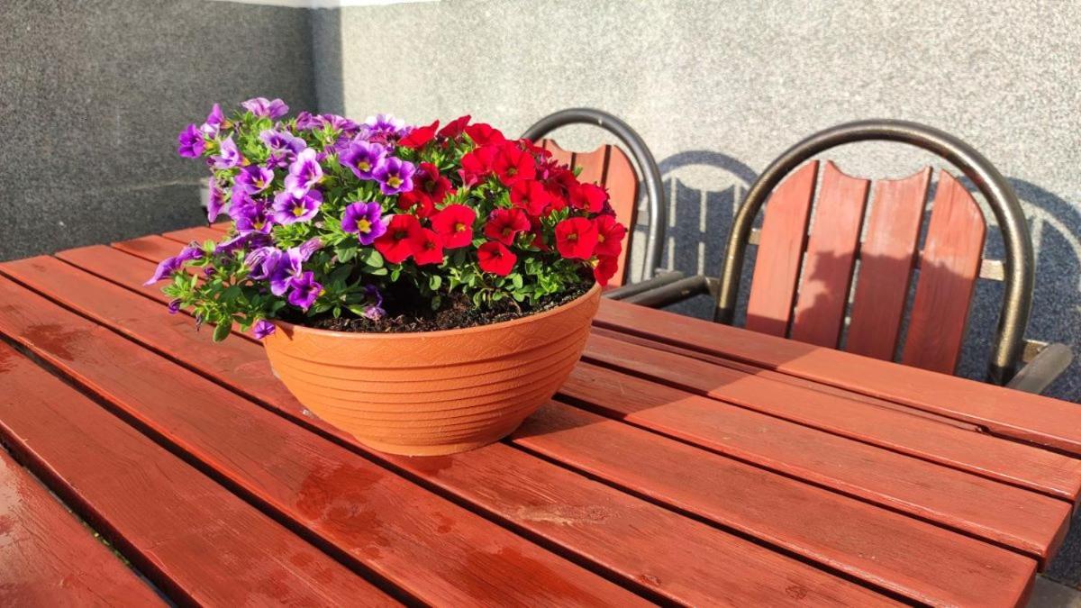 Osrodek Wczasowy Krasniczanka Hotel Мушина Екстериор снимка
